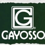 gayo
